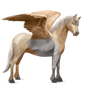 pegasus-ponny highlandponny mörk linfux 