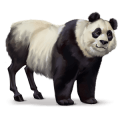 vildhästen panda