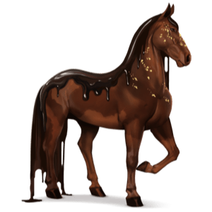 den gudomliga hästen mörk choklad