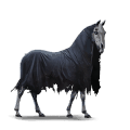 ridhäst mors