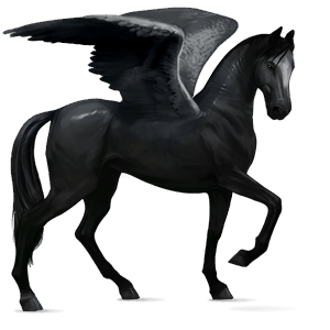 ridpegasus lusitano mörkfux