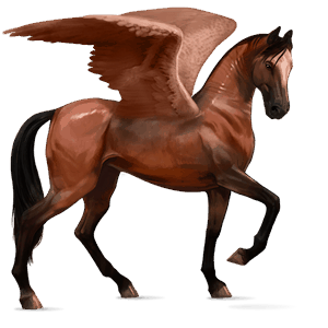 ridpegasus akhal-teke svart