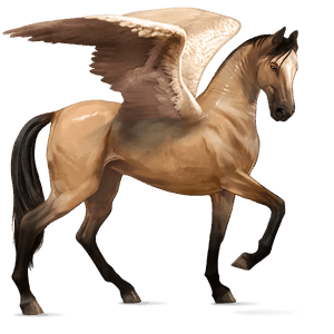 ridpegasus lusitano gulbrun