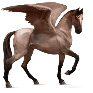 ridpegasus argentinsk criollo brun tovero