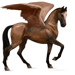 ridpegasus arabiskt fullblod brun
