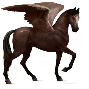 ridpegasus akhal-teke mörkfux