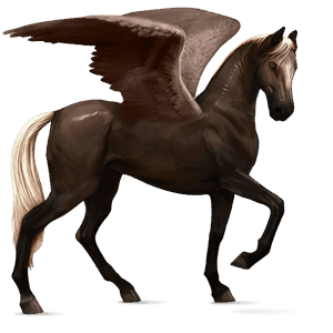 ridpegasus lusitano apelgrå