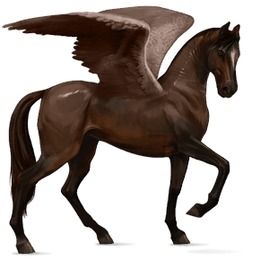ridpegasus argentinsk criollo mörkbrun