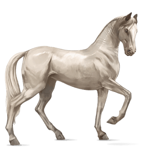 ridhäst lusitano mörkbrun