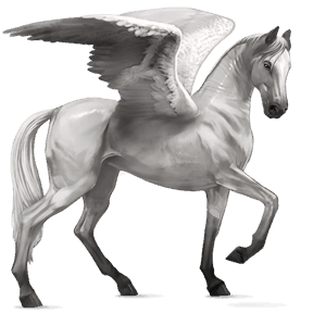 ridpegasus lusitano avblekbar skimmel