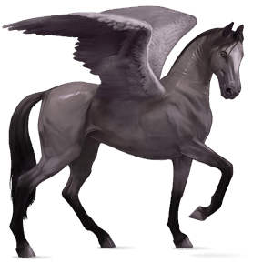 ridpegasus arabiskt fullblod linfux 