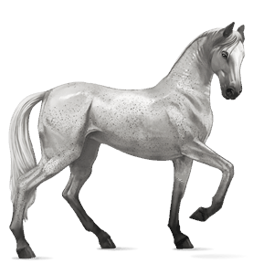 ridhäst mustang fux blanket 