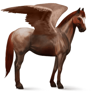 ridpegasus paint horse mörkfux tobiano