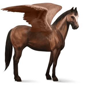 ridpegasus lusitano brun