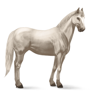 ridhäst tennessee walker avblekbar skimmel