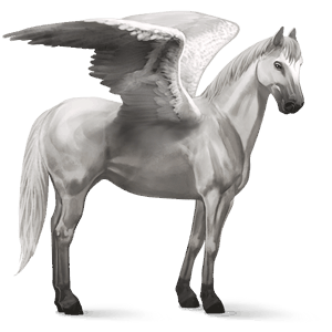 ridpegasus quarter avblekbar skimmel