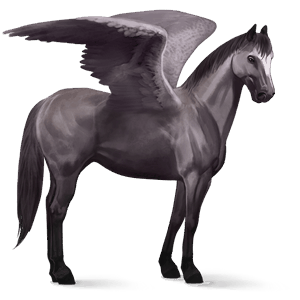 ridpegasus holsteiner linfux 