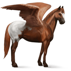 ridpegasus paint horse fux tobiano