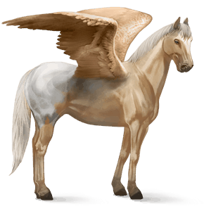 ridpegasus isabell blanket 