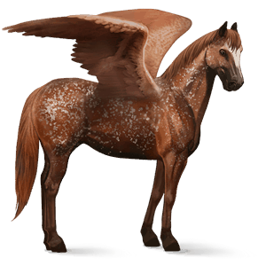ridpegasus paint horse mörkfux tobiano