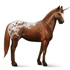 ridenhörning appaloosa fuxfläckig blanket 