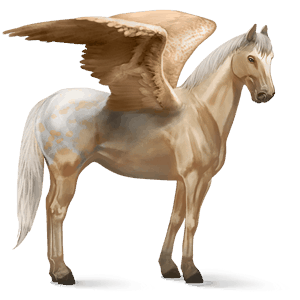 ridpegasus körsbärsbrun tobiano