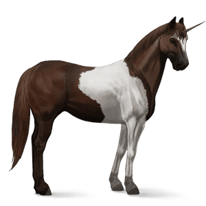 ridenhörning paint horse mörkfux tobiano