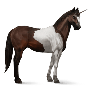 ridenhörning paint horse mörkbrun tobiano