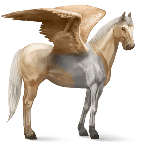 ridpegasus lusitano apelgrå