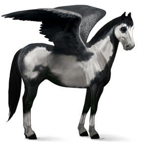 ridpegasus argentinsk criollo körsbärsbrun