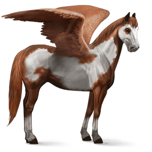 ridpegasus paint horse overo fuxskäck