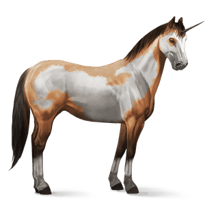 ridenhörning appaloosa fux snöflinga 