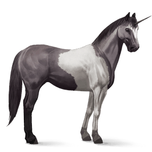 ridenhörning paint horse musblack tobiano