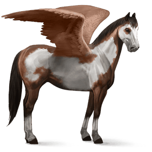 ridpegasus paint horse brun overo
