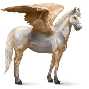 ridpegasus lusitano fux