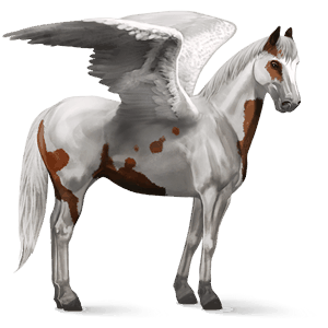 ridpegasus fransk travare brun
