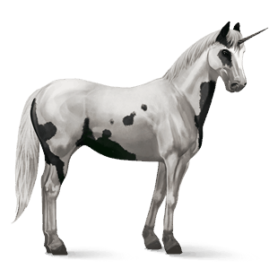 ridenhörning paint horse svart tovero
