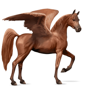 ridpegasus shagya-arab fux