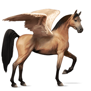 ridpegasus tennessee walker körsbärsbrun
