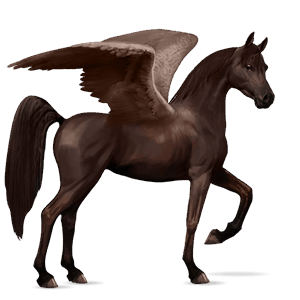ridpegasus arabiskt fullblod mörkfux