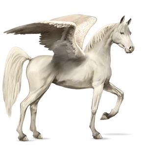 ridpegasus arabiskt fullblod brun