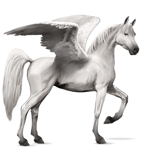 ridpegasus arabiskt fullblod avblekbar skimmel