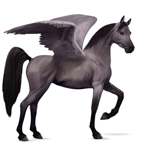 ridpegasus arabiskt fullblod konstantskimmel
