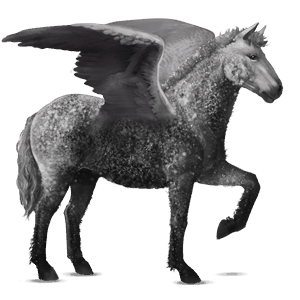 ridpegasus curlyhäst apelgrå