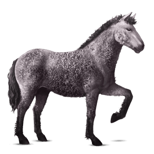 ridhäst lusitano brun