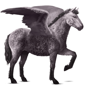 ridpegasus curlyhäst musblack