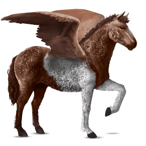 ridpegasus curlyhäst mörkfux tobiano