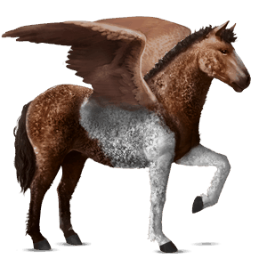 ridpegasus curlyhäst brun tobiano