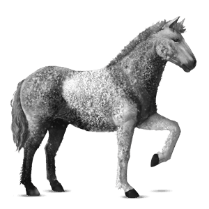 ridhäst mustang mörkfux