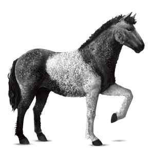 ridhäst mustang brun